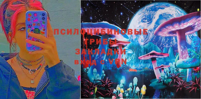 цены   Красноуфимск  Галлюциногенные грибы Cubensis 